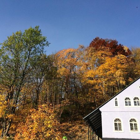 Ubytovani U Brabantika Desná Exterior foto
