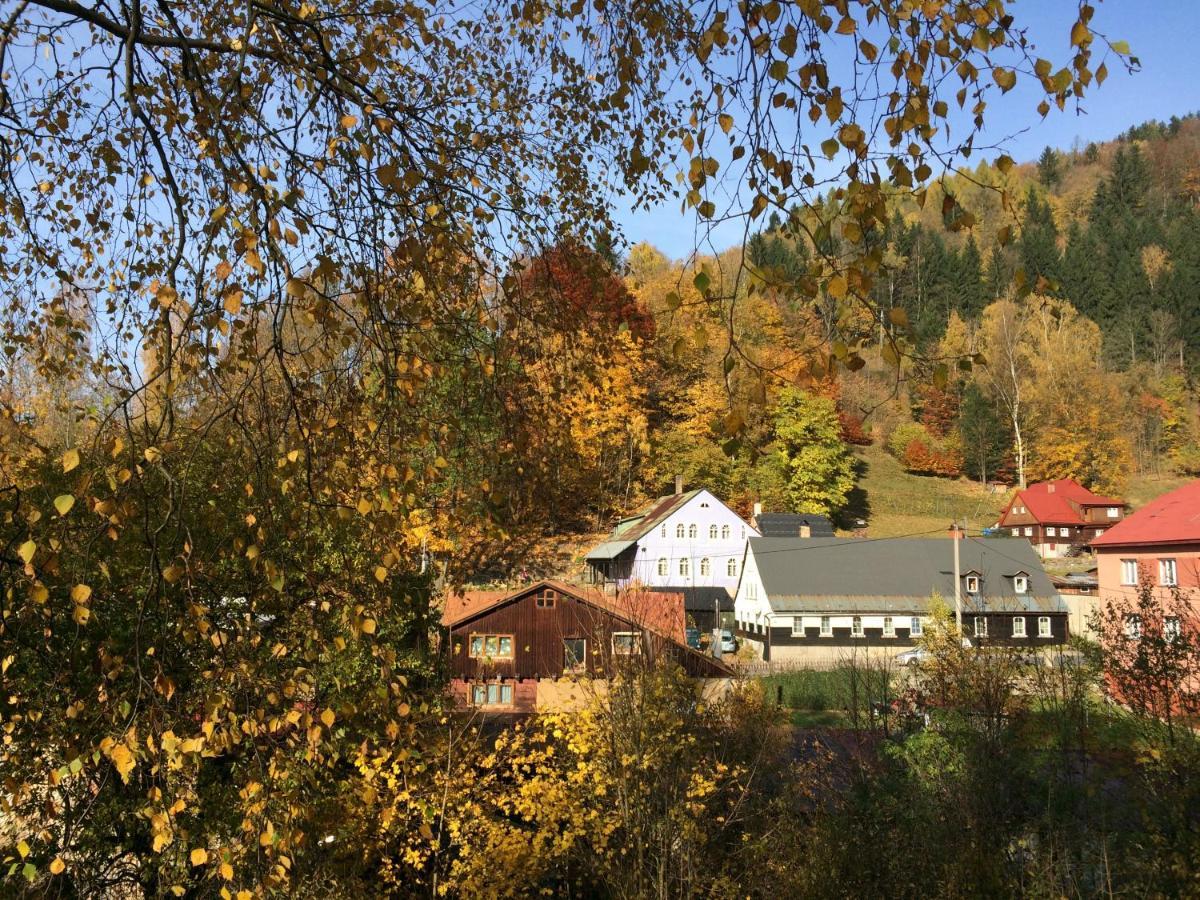 Ubytovani U Brabantika Desná Exterior foto