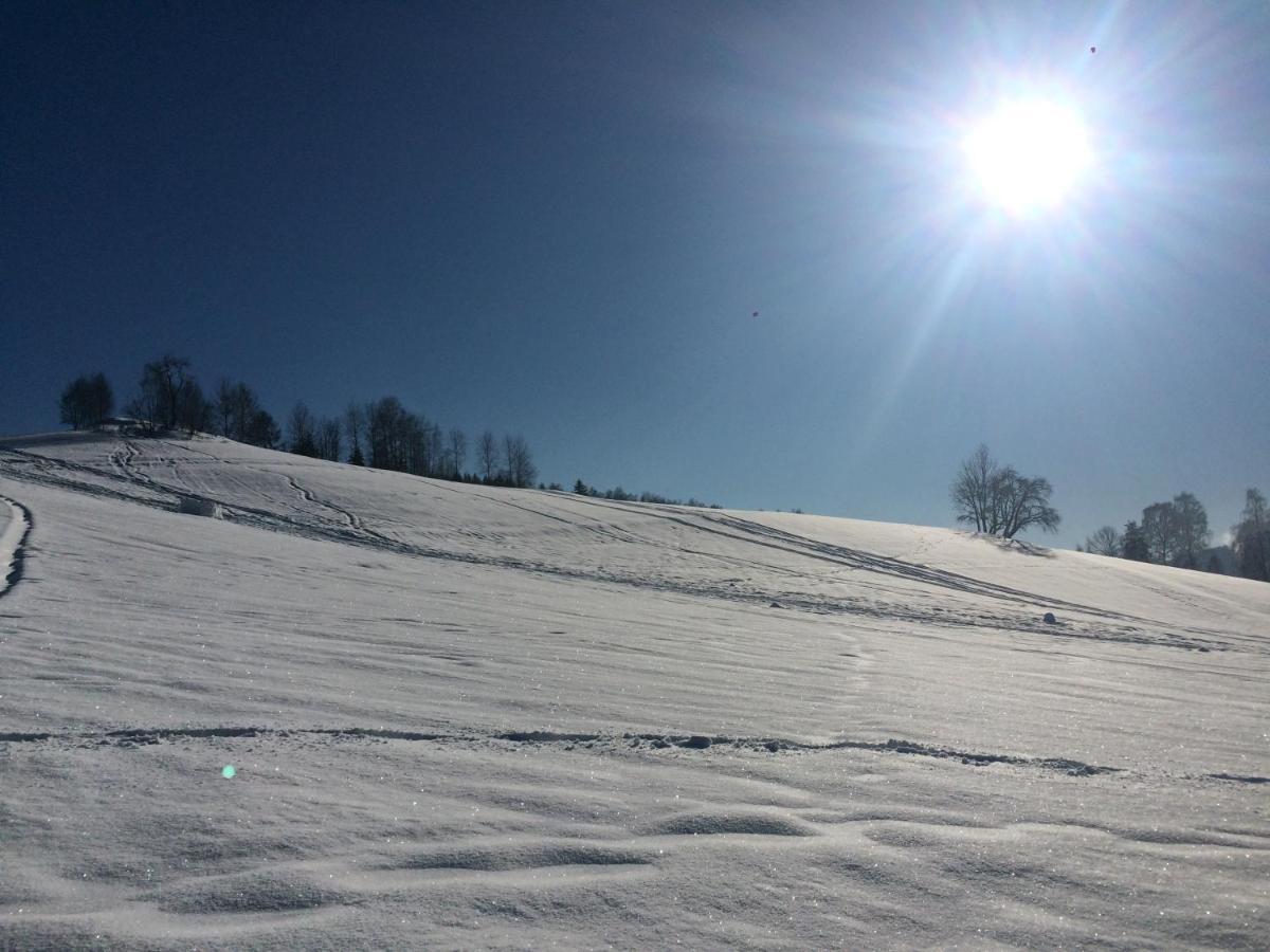 Ubytovani U Brabantika Desná Exterior foto